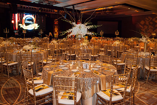 Drive the Dream Gala